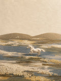 cheval, paysage, contemporain